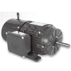 Brake Motors series